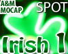 Irish Dance 1 SPOT